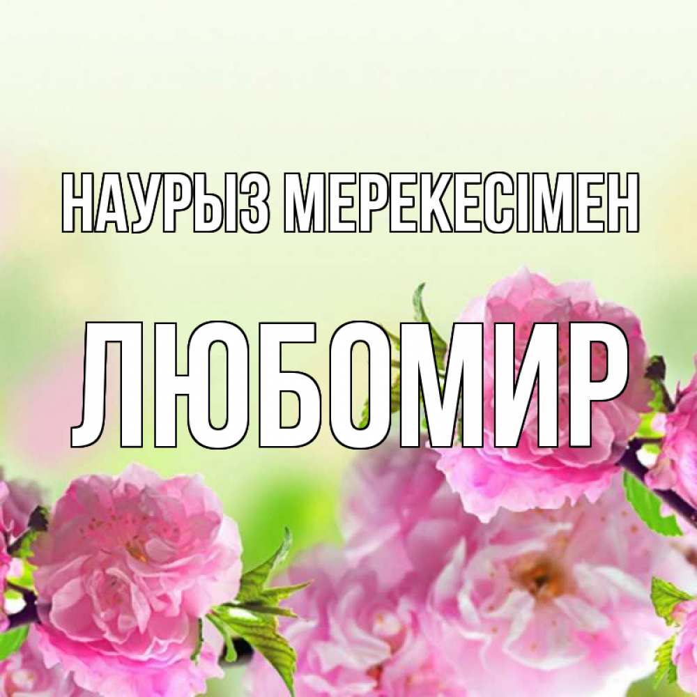 Күн сайын ашық хат с именем, Любомир Наурыз мерекесімен цветы Онлайн тегін жүктеп алу тілектері бар керемет карта 