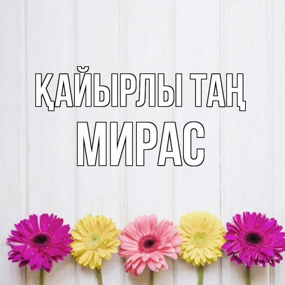 Күн сайын ашық хат с именем, МИРАС Қайырлы таң красный желтый и розовый цветок Онлайн тегін жүктеп алу тілектері бар керемет карта 