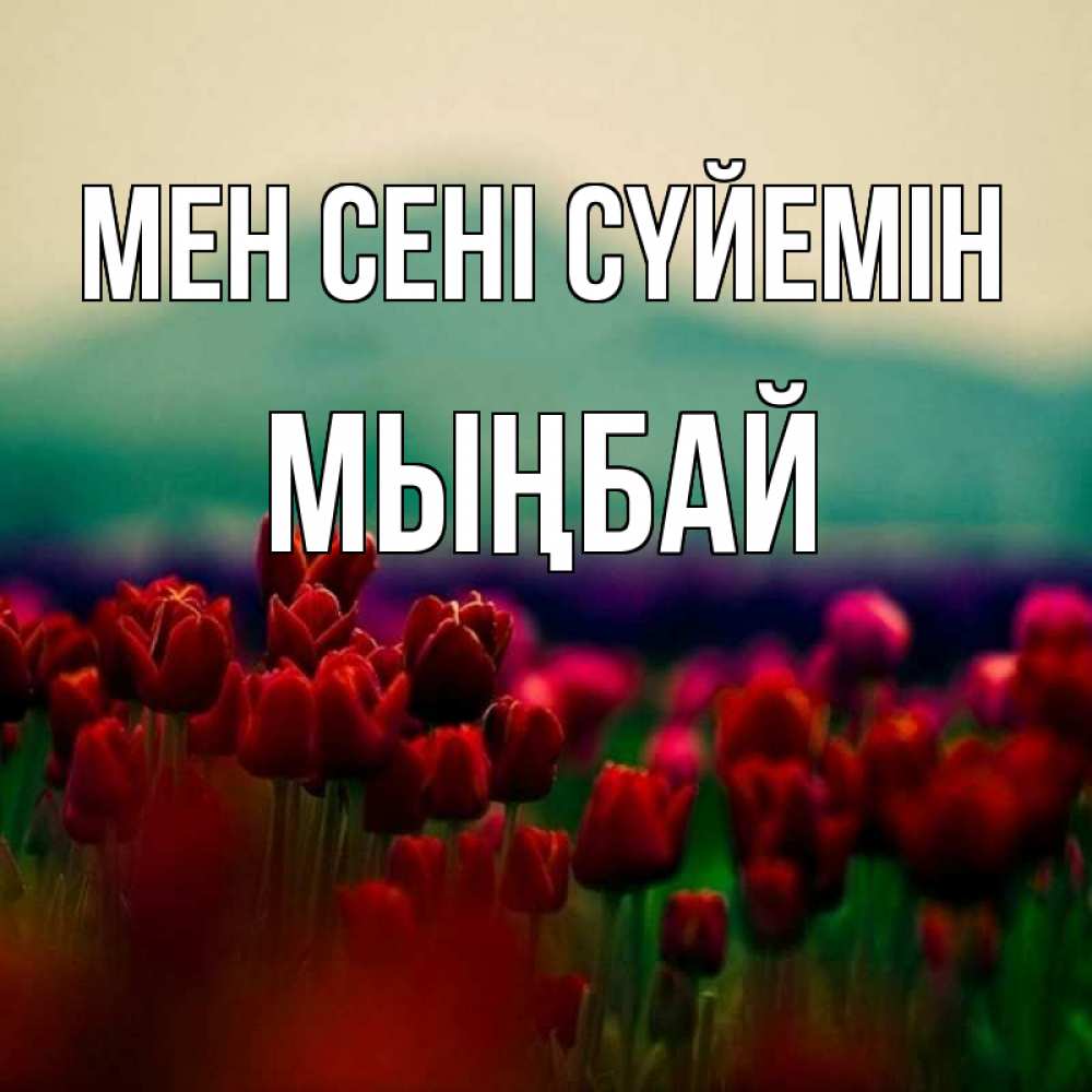 Күн сайын ашық хат с именем, МЫҢБАЙ Мен сені сүйемін тюльпаны 4 Онлайн тегін жүктеп алу тілектері бар керемет карта 