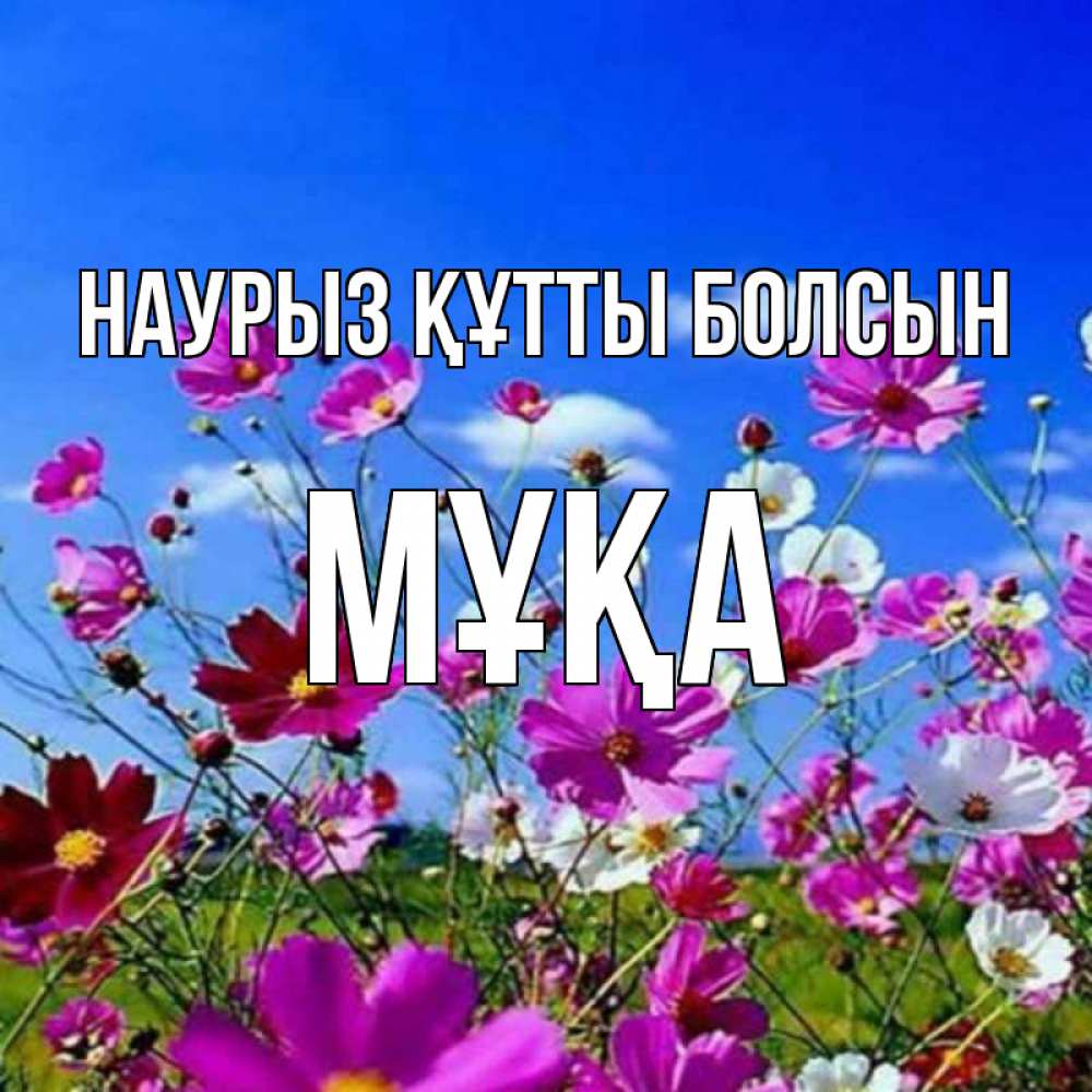 Күн сайын ашық хат с именем, МҰҚА Наурыз құтты болсын цветы Онлайн тегін жүктеп алу тілектері бар керемет карта 