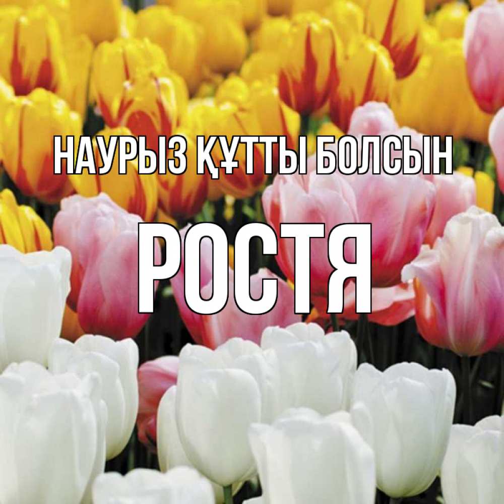 Күн сайын ашық хат с именем, Ростя Наурыз құтты болсын разноцветные цветы Онлайн тегін жүктеп алу тілектері бар керемет карта 