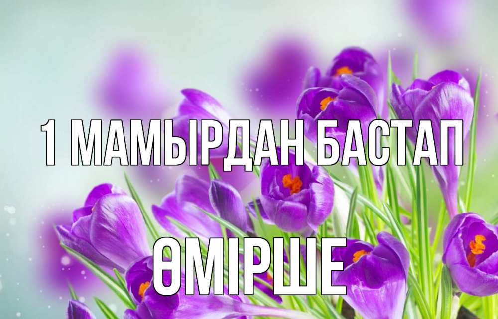 Күн сайын ашық хат с именем, ӨМІРШЕ 1 мамырдан бастап 1 мая Онлайн тегін жүктеп алу тілектері бар керемет карта 