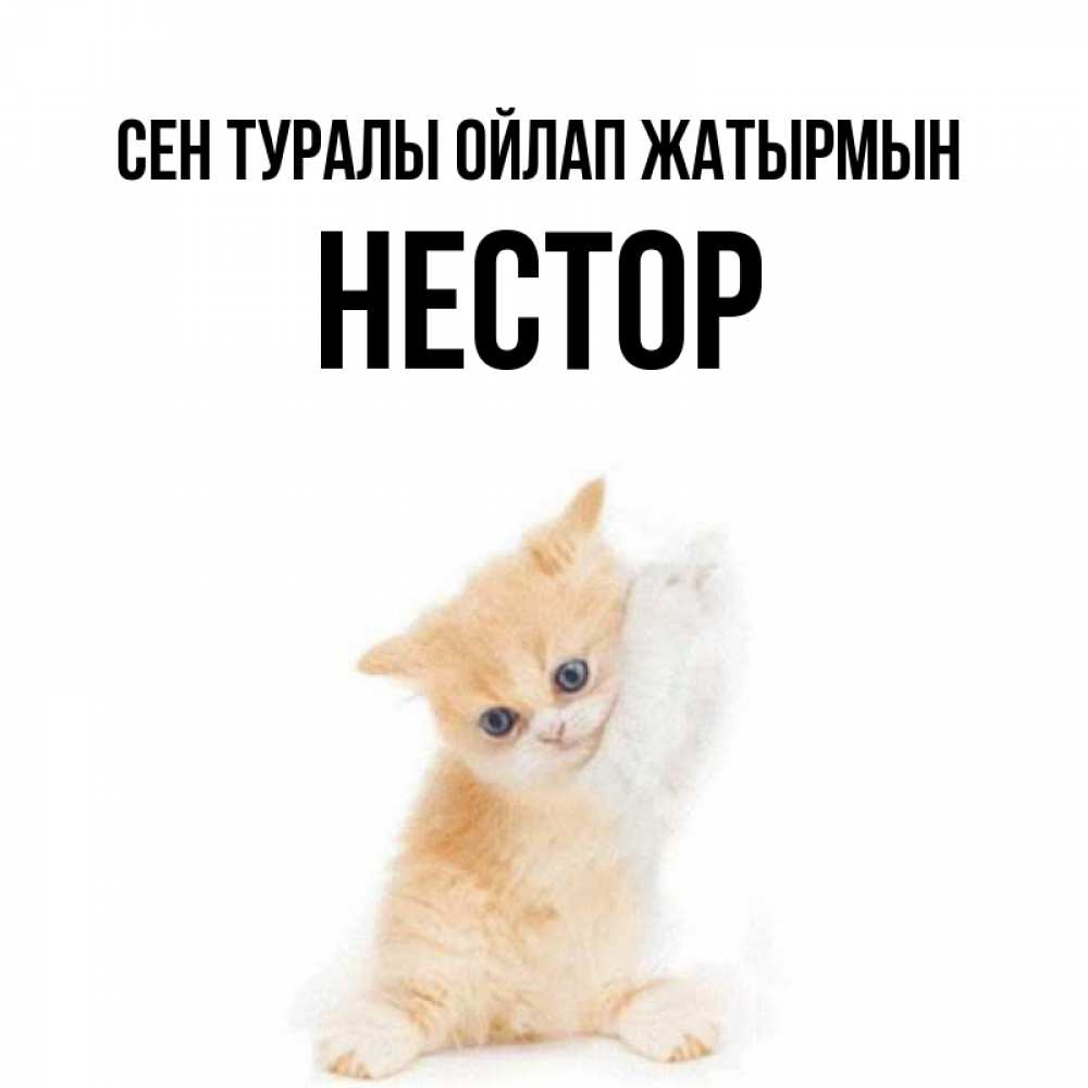 Күн сайын ашық хат с именем, Нестор Сен туралы ойлап жатырмын зверушки и милота Онлайн тегін жүктеп алу тілектері бар керемет карта 