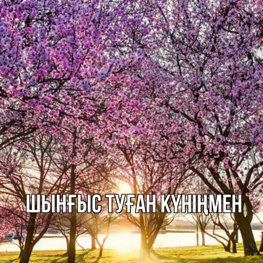 Картинка  с именем , ШЫНҒЫС! ТУҒАН КҮНІҢМЕН!