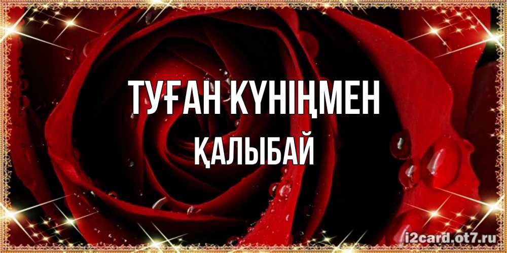 Күн сайын ашық хат с именем, Қалыбай Туған күніңмен цветок в росе на день рождения Онлайн тегін жүктеп алу тілектері бар керемет карта 