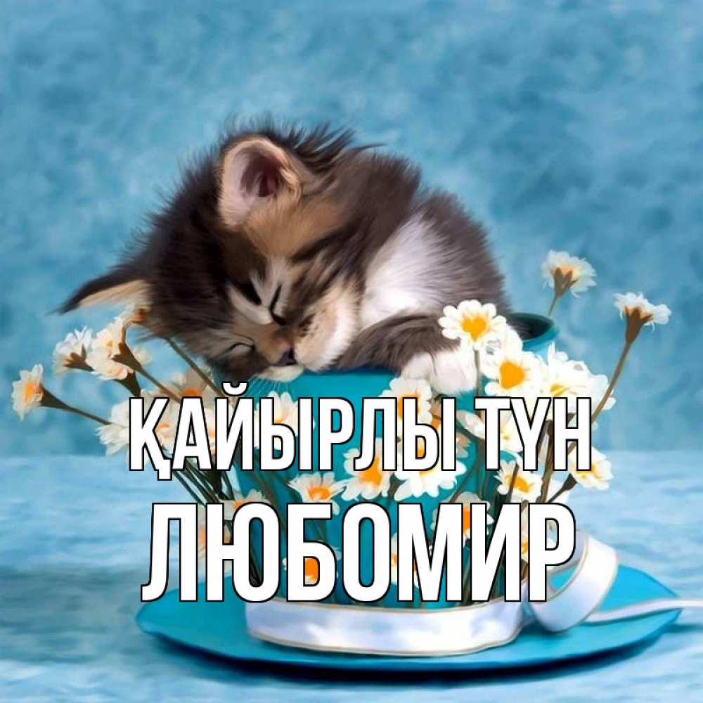 Күн сайын ашық хат с именем, Любомир Қайырлы түн котенок спит в кружке с блюдцем Онлайн тегін жүктеп алу тілектері бар керемет карта 