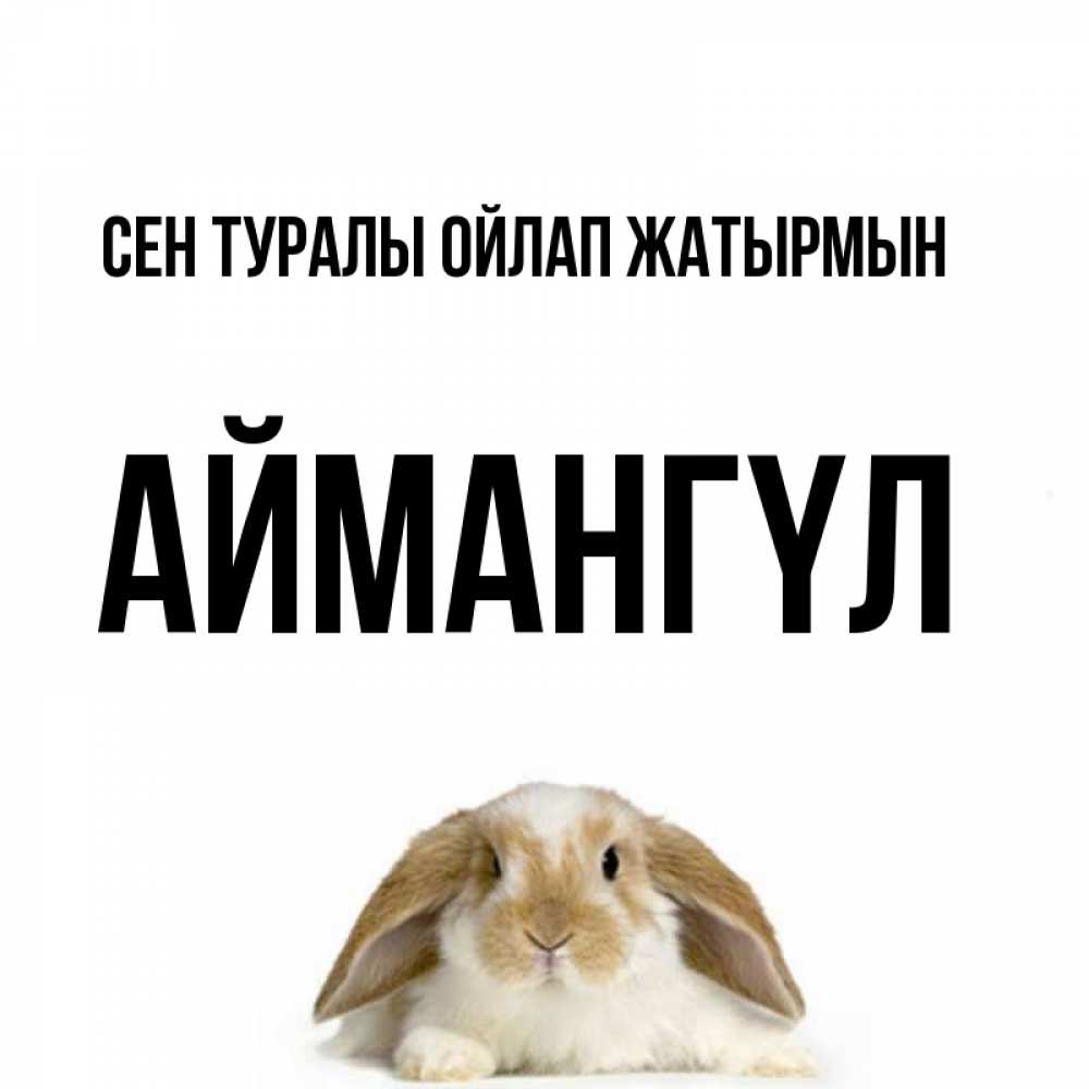 Күн сайын ашық хат с именем, Аймангүл Сен туралы ойлап жатырмын подписать своими руками онлайн Онлайн тегін жүктеп алу тілектері бар керемет карта 