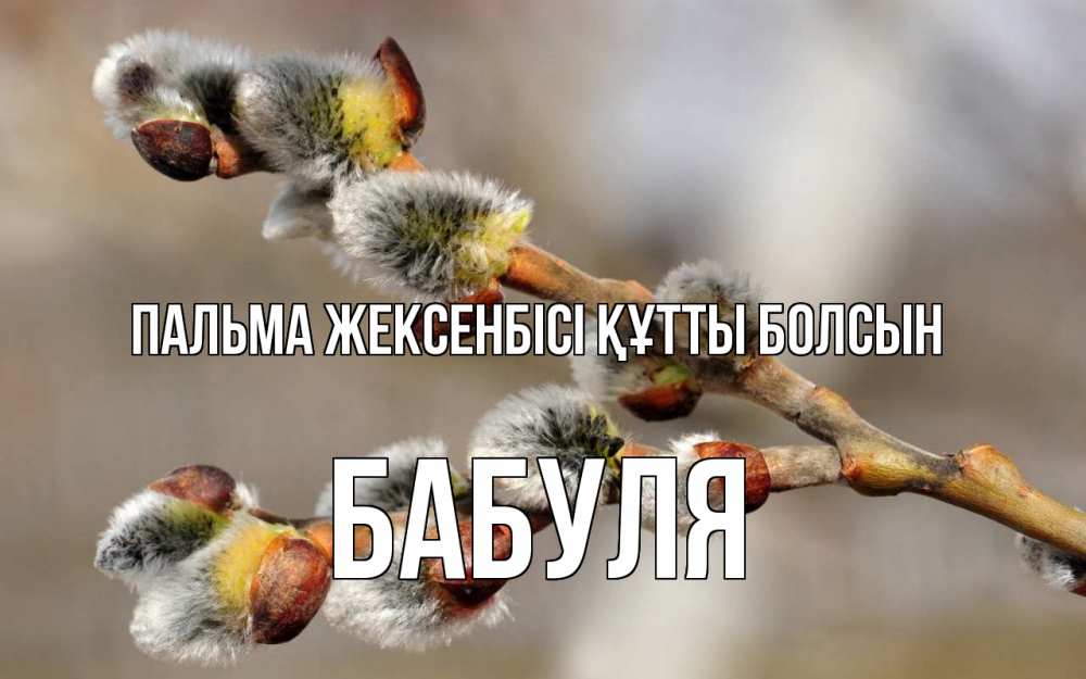 Күн сайын ашық хат с именем, Бабуля Пальма жексенбісі құтты болсын Верба Онлайн тегін жүктеп алу тілектері бар керемет карта 