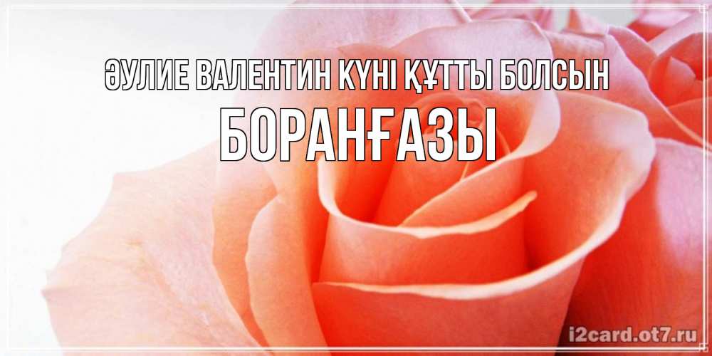 Күн сайын ашық хат с именем, Боранғазы Әулие Валентин күні құтты болсын открытка на день Святого Валентина с розовой розой Онлайн тегін жүктеп алу тілектері бар керемет карта 