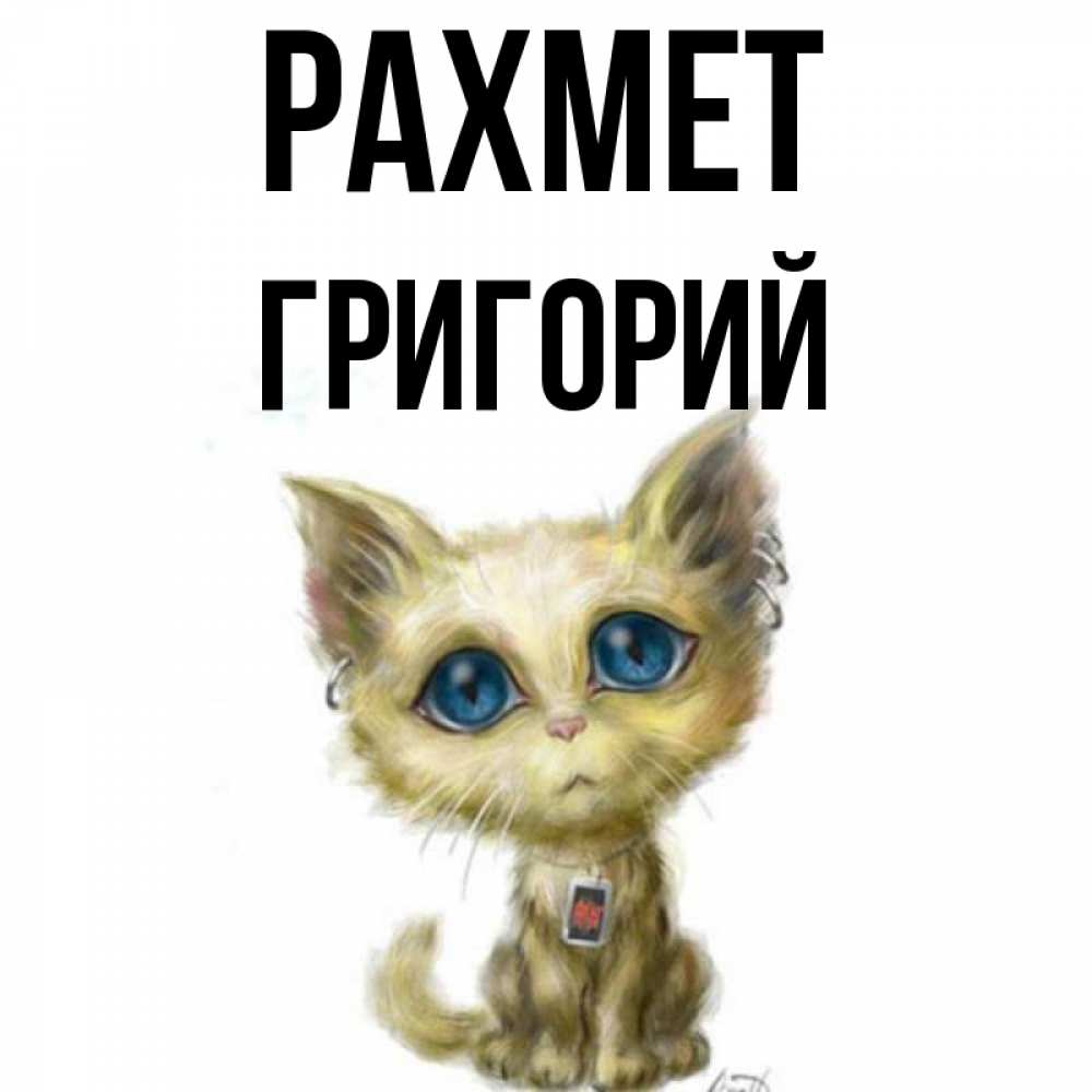 Күн сайын ашық хат с именем, Григорий рахмет рисованный кот благодарит вас Онлайн тегін жүктеп алу тілектері бар керемет карта 