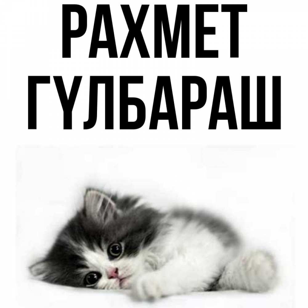 Күн сайын ашық хат с именем, ГҮЛБАРАШ рахмет черный и белый кот Онлайн тегін жүктеп алу тілектері бар керемет карта 