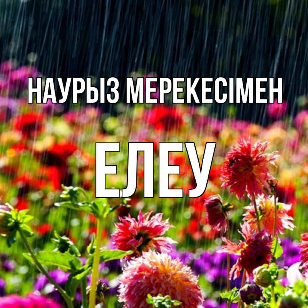 Күн сайын ашық хат с именем, Елеу Наурыз мерекесімен цветы под дождиком к международному женскому дню Онлайн тегін жүктеп алу тілектері бар керемет карта 