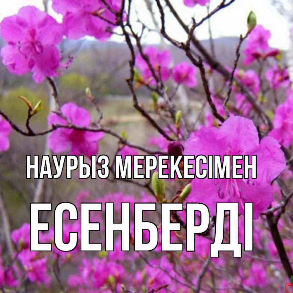 Күн сайын ашық хат с именем, Есенберді Наурыз мерекесімен праздник весны наурыз Онлайн тегін жүктеп алу тілектері бар керемет карта 