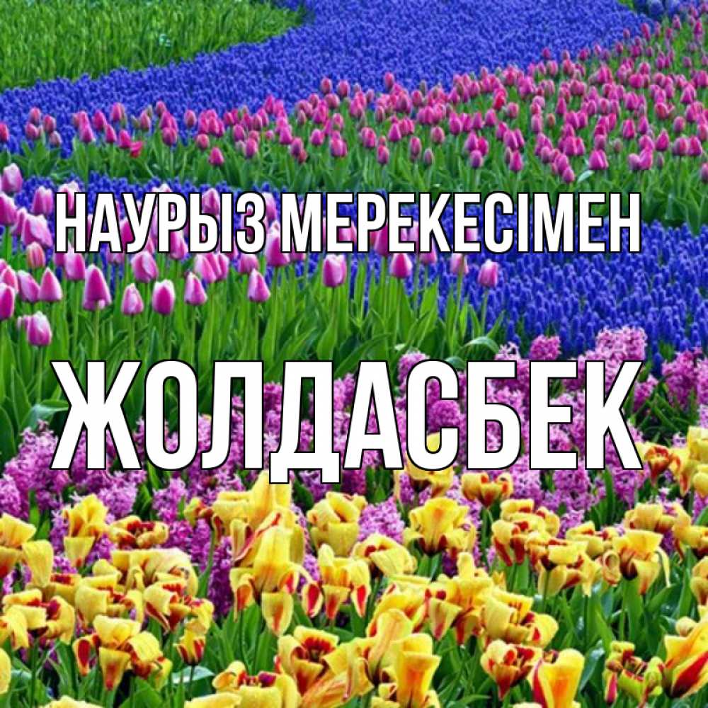 Күн сайын ашық хат с именем, Жолдасбек Наурыз мерекесімен цветы Онлайн тегін жүктеп алу тілектері бар керемет карта 