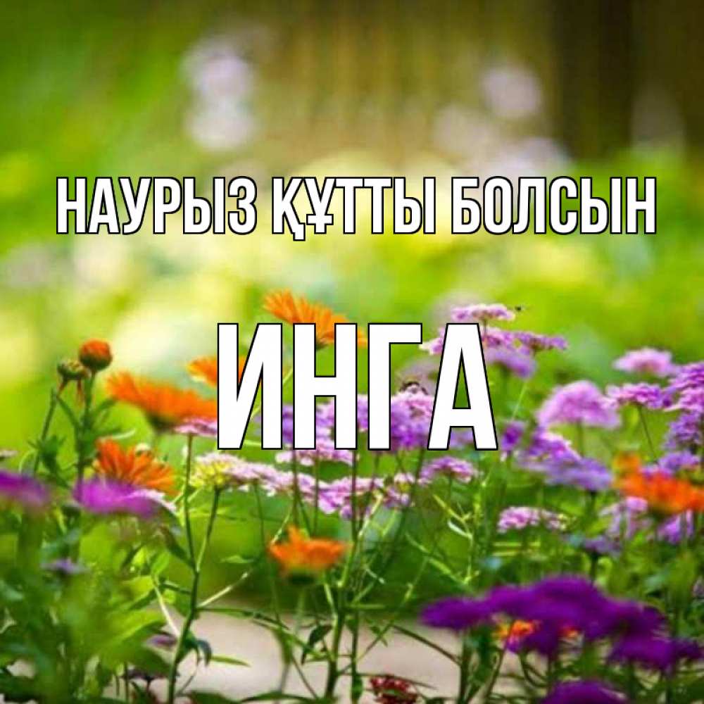 Күн сайын ашық хат с именем, Инга Наурыз құтты болсын цветы Онлайн тегін жүктеп алу тілектері бар керемет карта 