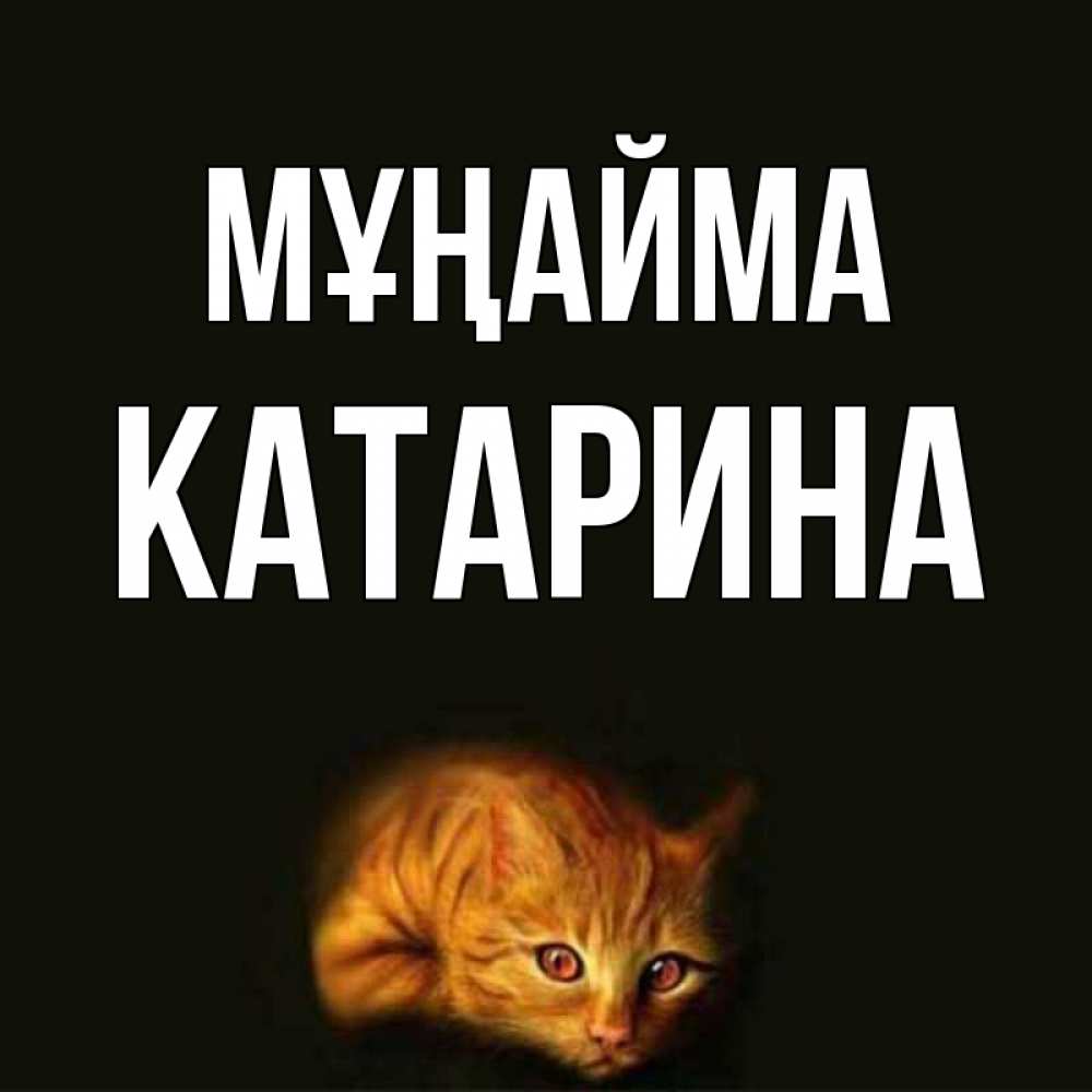 Күн сайын ашық хат с именем, Катарина Мұңайма лежащий кот в темноте Онлайн тегін жүктеп алу тілектері бар керемет карта 