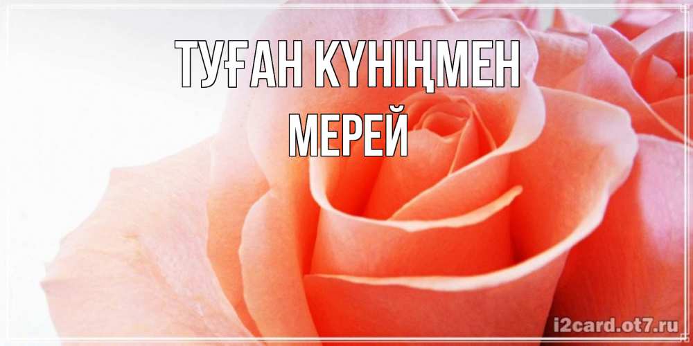 Күн сайын ашық хат с именем, МЕРЕЙ Туған күніңмен розы для поздравления с днем рождения Онлайн тегін жүктеп алу тілектері бар керемет карта 