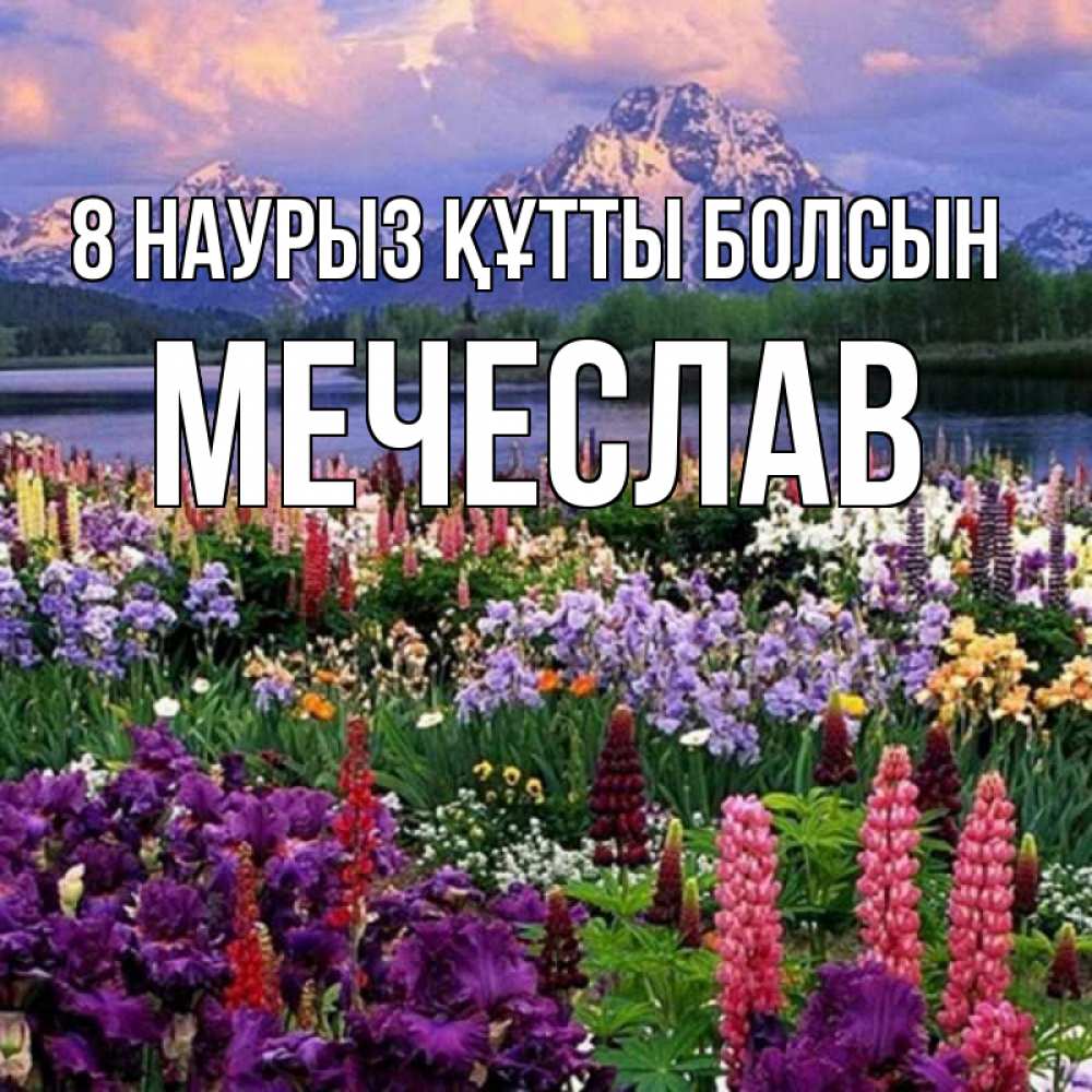 Күн сайын ашық хат с именем, Мечеслав 8 наурыз құтты болсын международный женский день Онлайн тегін жүктеп алу тілектері бар керемет карта 
