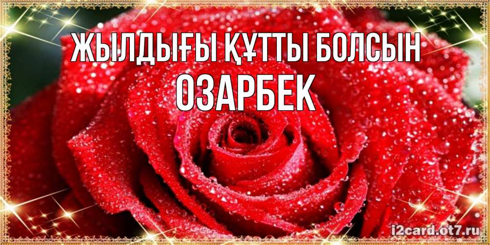 Күн сайын ашық хат с именем, ОЗАРБЕК Жылдығы құтты болсын роса и роза. открытка с красивой розой Онлайн тегін жүктеп алу тілектері бар керемет карта 