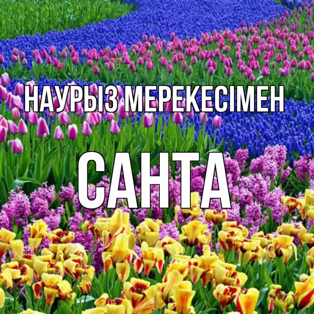 Күн сайын ашық хат с именем, Санта Наурыз мерекесімен цветы Онлайн тегін жүктеп алу тілектері бар керемет карта 
