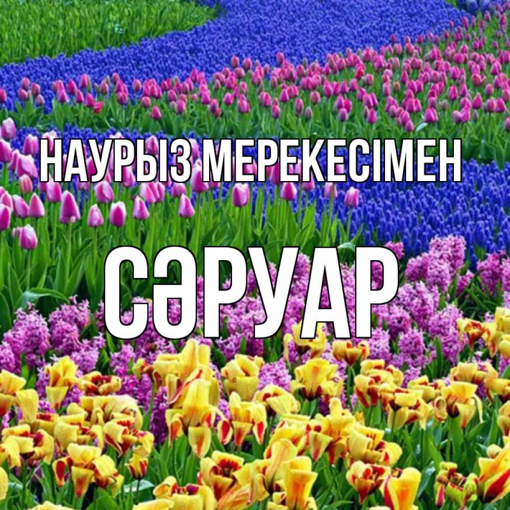 Күн сайын ашық хат с именем, СӘРУАР Наурыз мерекесімен цветы Онлайн тегін жүктеп алу тілектері бар керемет карта 