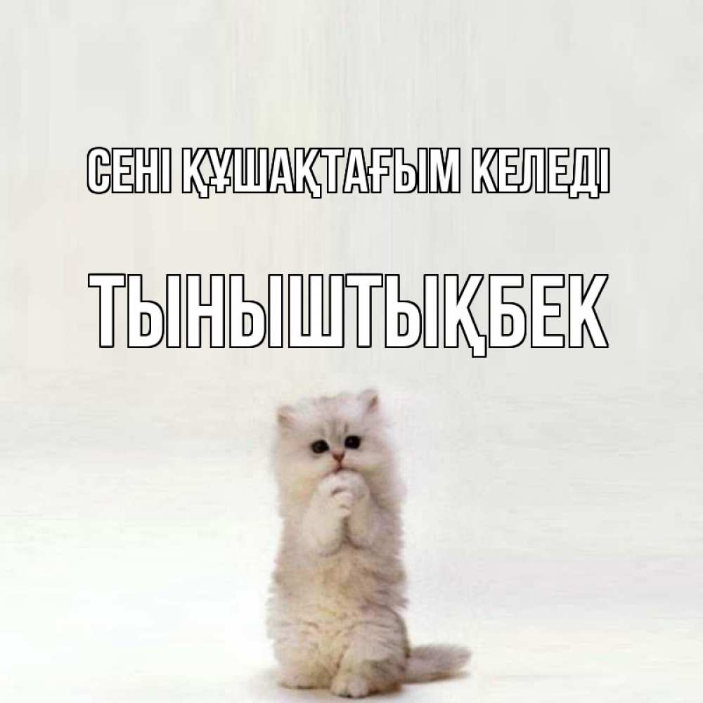 Күн сайын ашық хат с именем, ТЫНЫШТЫҚБЕК сені құшақтағым келеді открытки с креативными подписями Онлайн тегін жүктеп алу тілектері бар керемет карта 