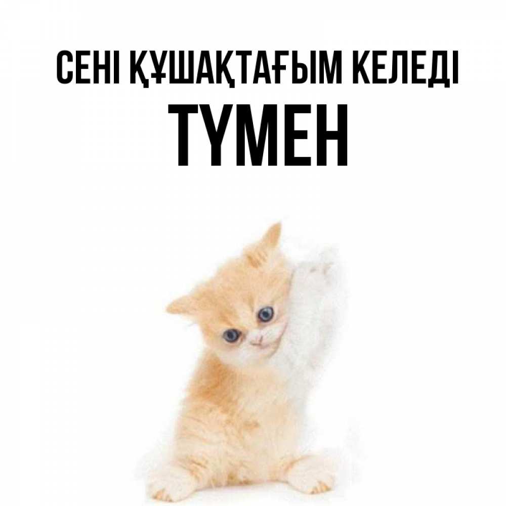 Күн сайын ашық хат с именем, ТҮМЕН сені құшақтағым келеді я хочу очень скорее обнимаешек Онлайн тегін жүктеп алу тілектері бар керемет карта 