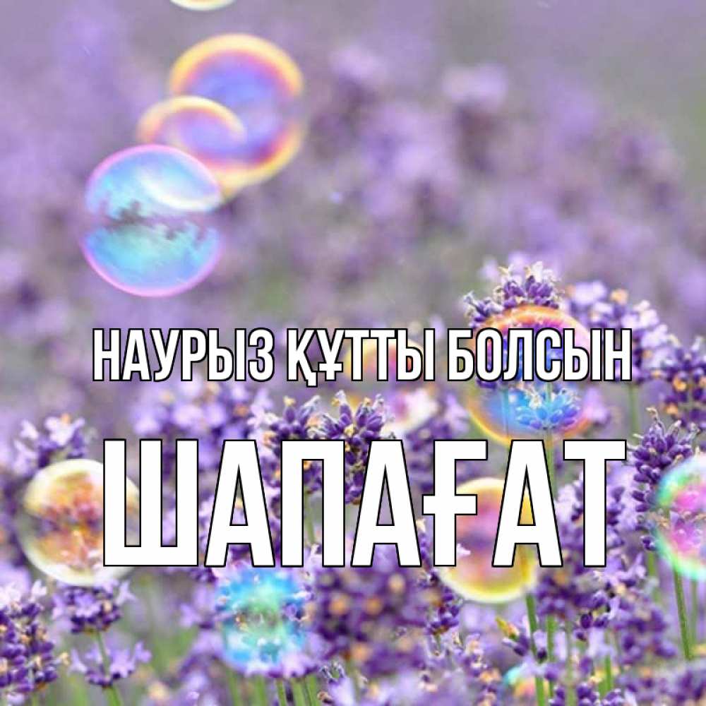 Күн сайын ашық хат с именем, ШАПАҒАТ Наурыз құтты болсын цветы Онлайн тегін жүктеп алу тілектері бар керемет карта 