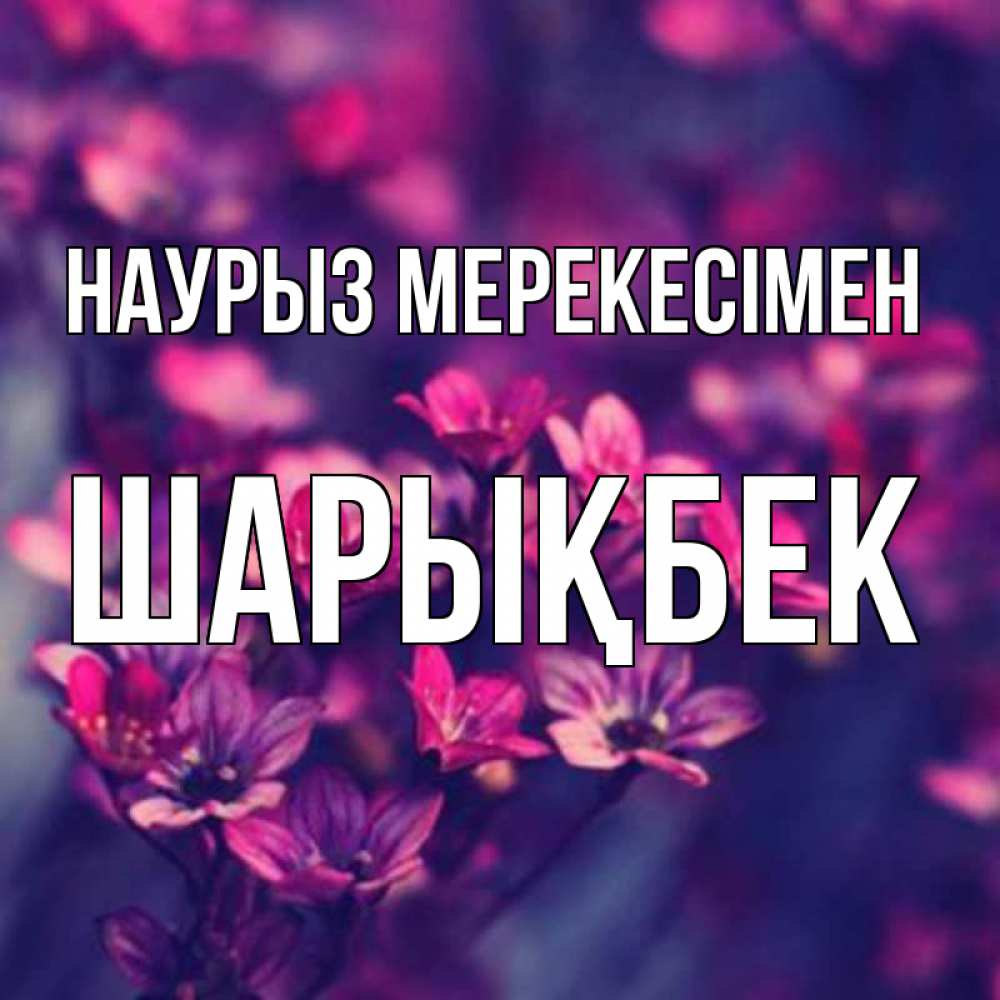 Күн сайын ашық хат с именем, ШАРЫҚБЕК Наурыз мерекесімен небольшие цветы 1 Онлайн тегін жүктеп алу тілектері бар керемет карта 