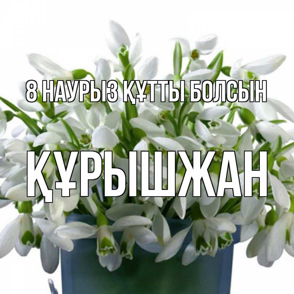 Күн сайын ашық хат с именем, ҚҰРЫШЖАН 8 наурыз құтты болсын цветы к международному женскому дню Онлайн тегін жүктеп алу тілектері бар керемет карта 