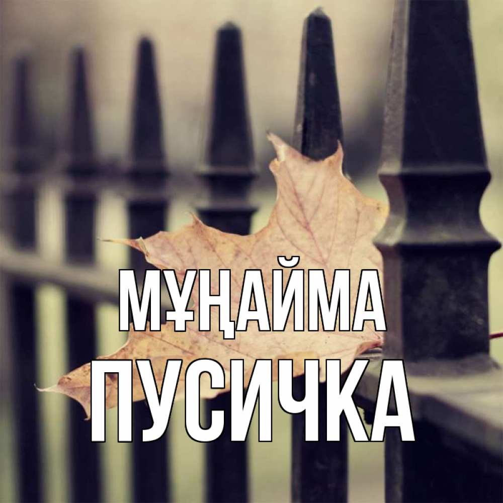 Күн сайын ашық хат с именем, Пусичка Мұңайма лист клена Онлайн тегін жүктеп алу тілектері бар керемет карта 