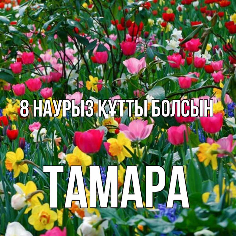 Күн сайын ашық хат с именем, ТАМАРА 8 наурыз құтты болсын с международным женским днем поздравления для женщины Онлайн тегін жүктеп алу тілектері бар керемет карта 