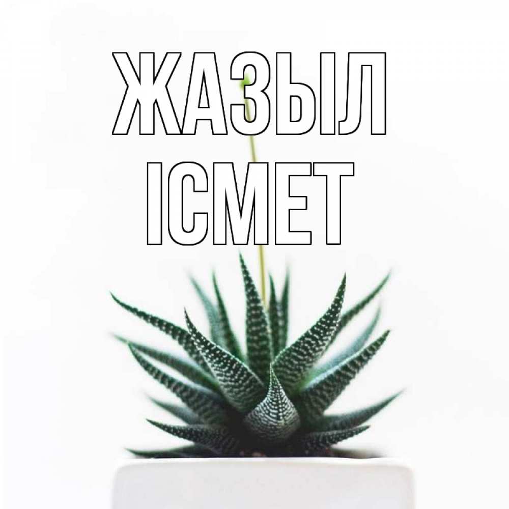 Күн сайын ашық хат с именем, ІСМЕТ Жазыл короче это непонятная колючка Онлайн тегін жүктеп алу тілектері бар керемет карта 