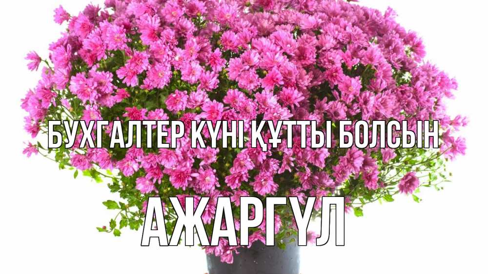 Күн сайын ашық хат с именем, АЖАРГҮЛ бухгалтер күні құтты болсын с днем бухгалтера Онлайн тегін жүктеп алу тілектері бар керемет карта 