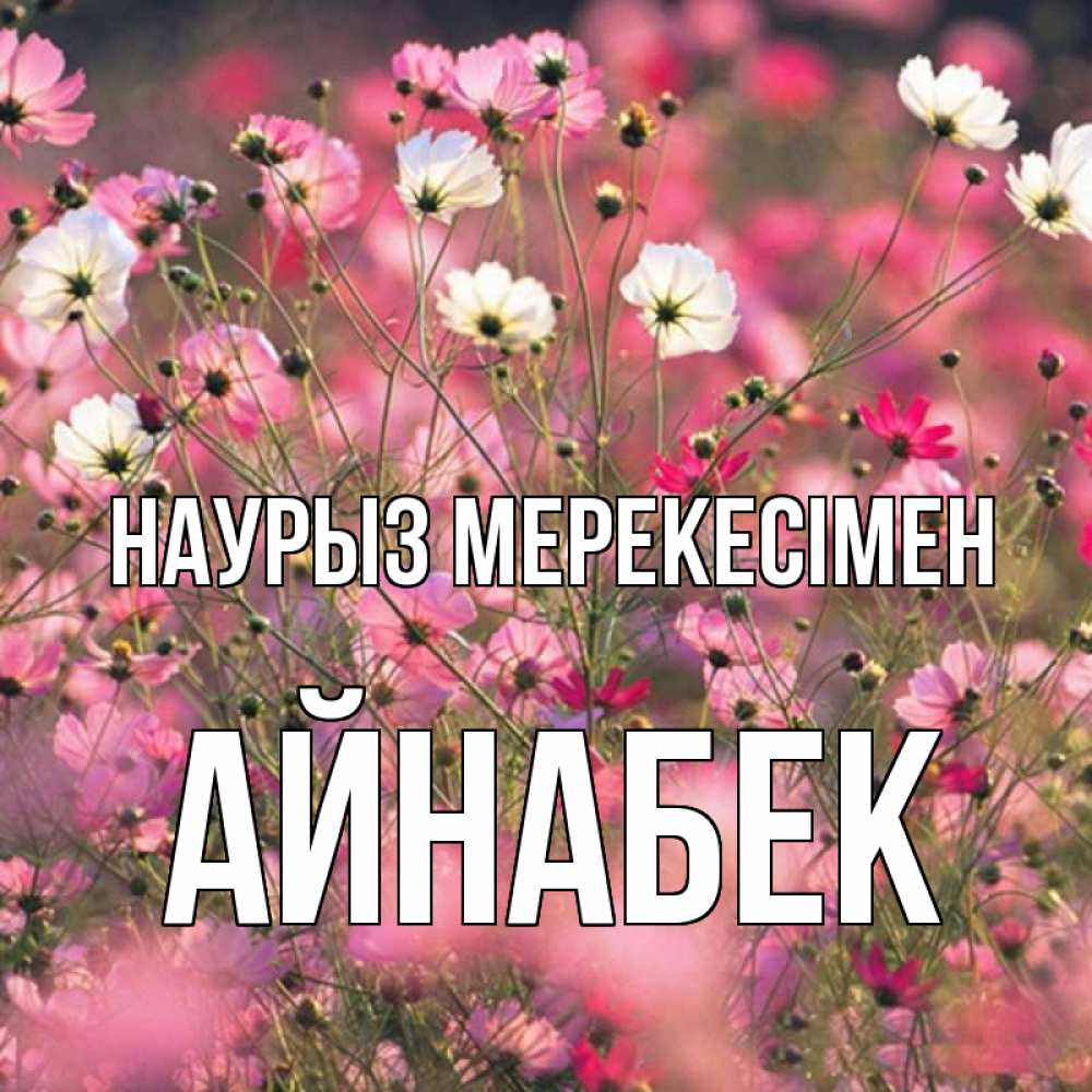 Күн сайын ашық хат с именем, Айнабек Наурыз мерекесімен красиво 1 Онлайн тегін жүктеп алу тілектері бар керемет карта 