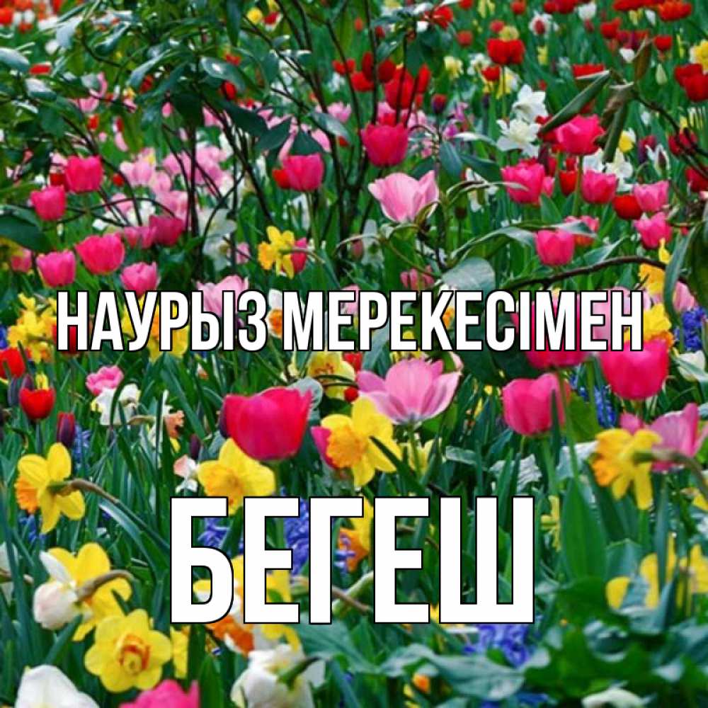 Күн сайын ашық хат с именем, Бегеш Наурыз мерекесімен с наурызом праздником весны поздравления для женщины Онлайн тегін жүктеп алу тілектері бар керемет карта 