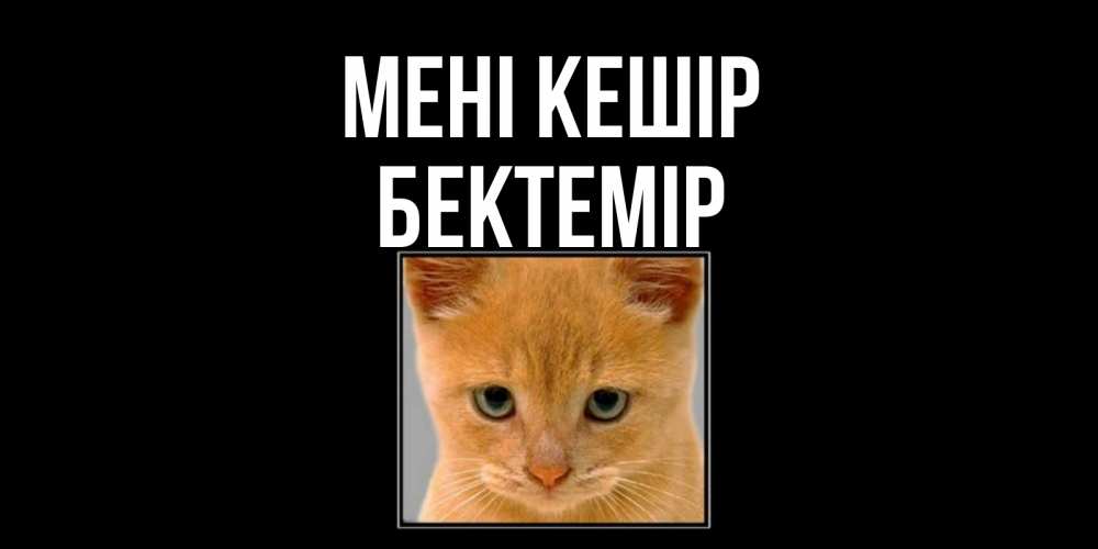 Күн сайын ашық хат с именем, Бектемір Мені кешір рыжий грустный кот просит прощения Онлайн тегін жүктеп алу тілектері бар керемет карта 
