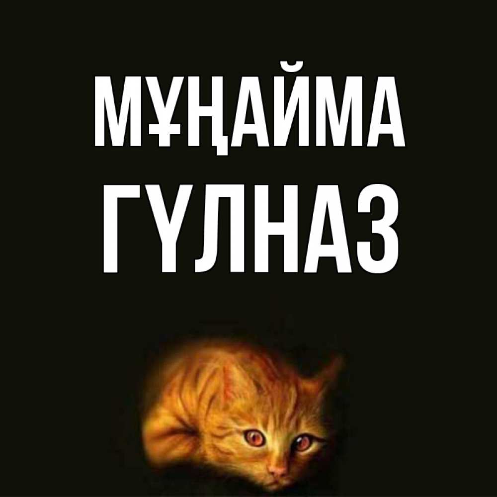 Күн сайын ашық хат с именем, ГҮЛНАЗ Мұңайма лежащий кот в темноте Онлайн тегін жүктеп алу тілектері бар керемет карта 