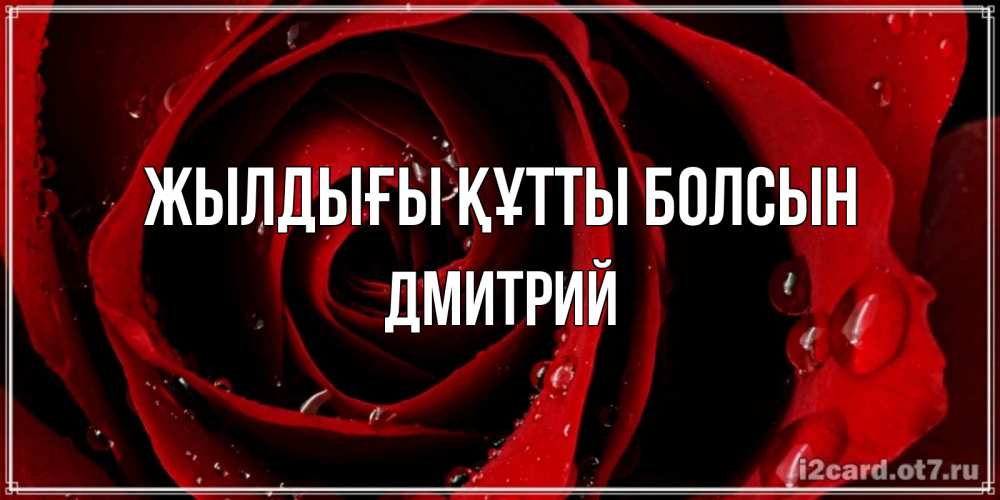 Күн сайын ашық хат с именем, Дмитрий Жылдығы құтты болсын крупная бордовая роза Онлайн тегін жүктеп алу тілектері бар керемет карта 