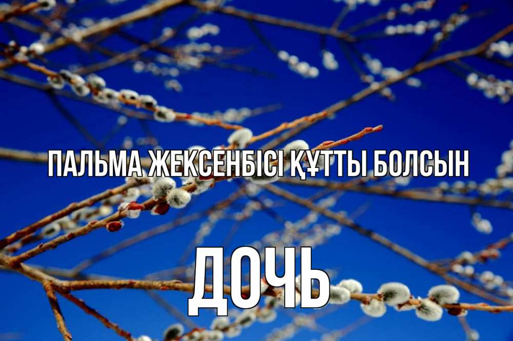 Күн сайын ашық хат с именем, Дочь Пальма жексенбісі құтты болсын верба Онлайн тегін жүктеп алу тілектері бар керемет карта 