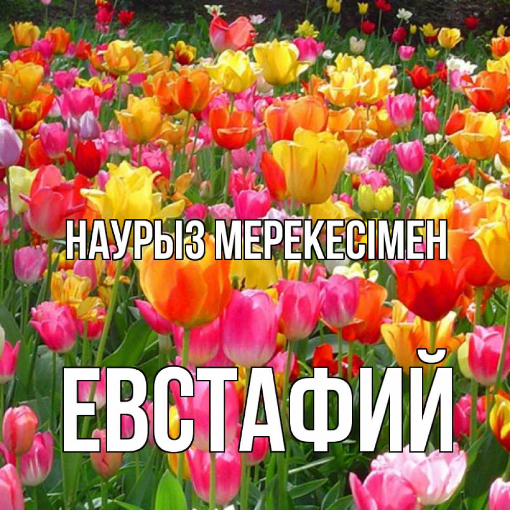 Күн сайын ашық хат с именем, Евстафий Наурыз мерекесімен праздник весны наурыз 4 Онлайн тегін жүктеп алу тілектері бар керемет карта 
