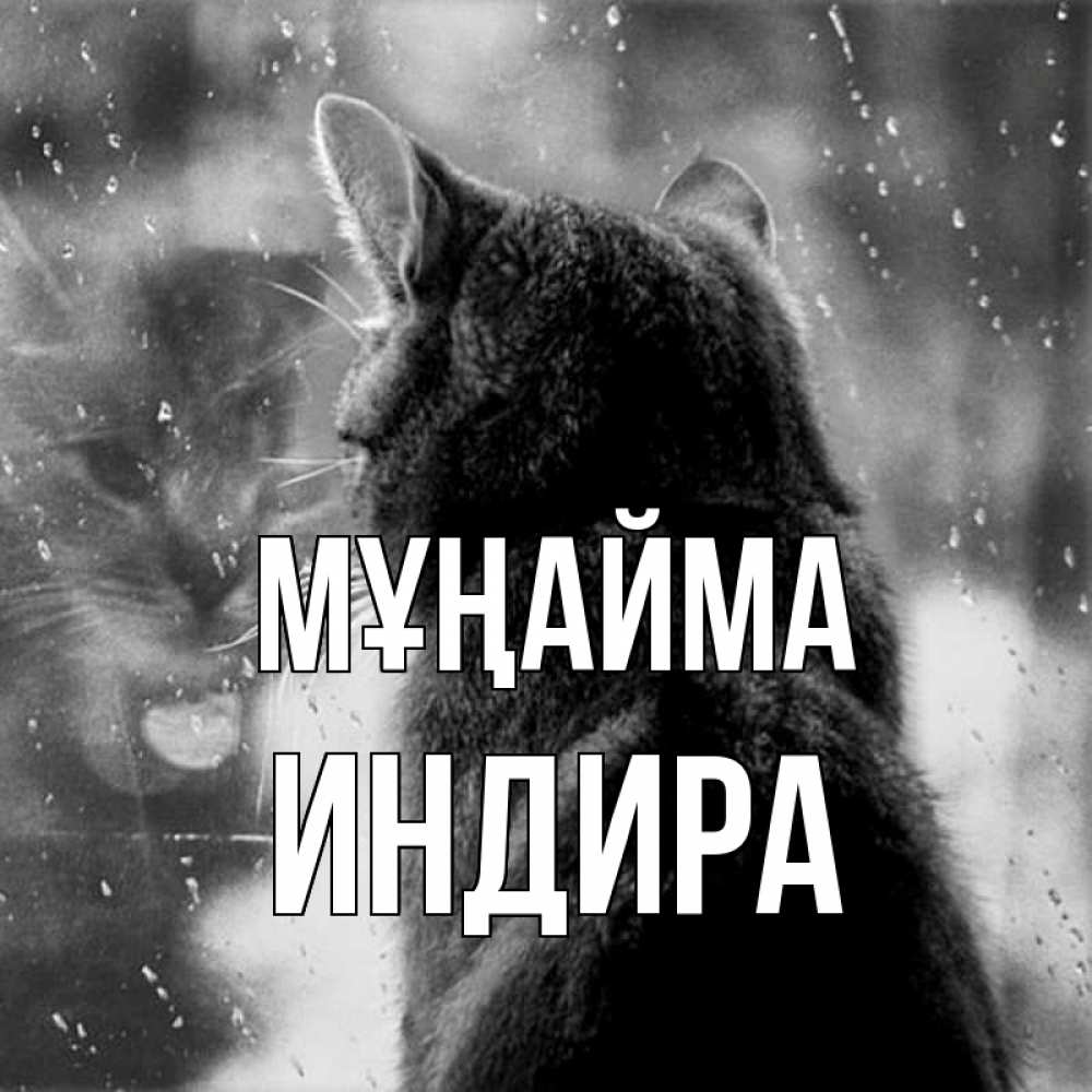 Күн сайын ашық хат с именем, ИНДИРА Мұңайма отражение кота 1 Онлайн тегін жүктеп алу тілектері бар керемет карта 