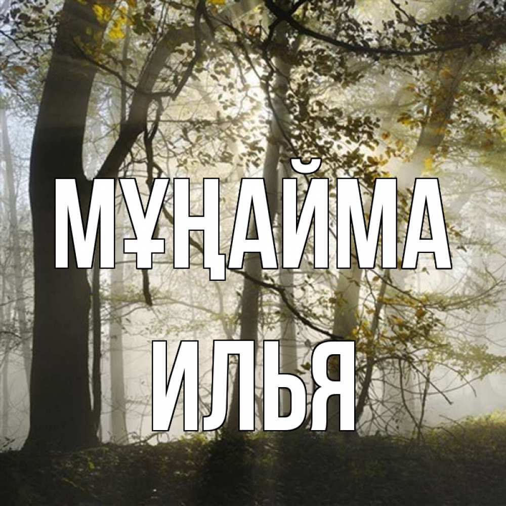 Күн сайын ашық хат с именем, Илья Мұңайма лес и свет Онлайн тегін жүктеп алу тілектері бар керемет карта 