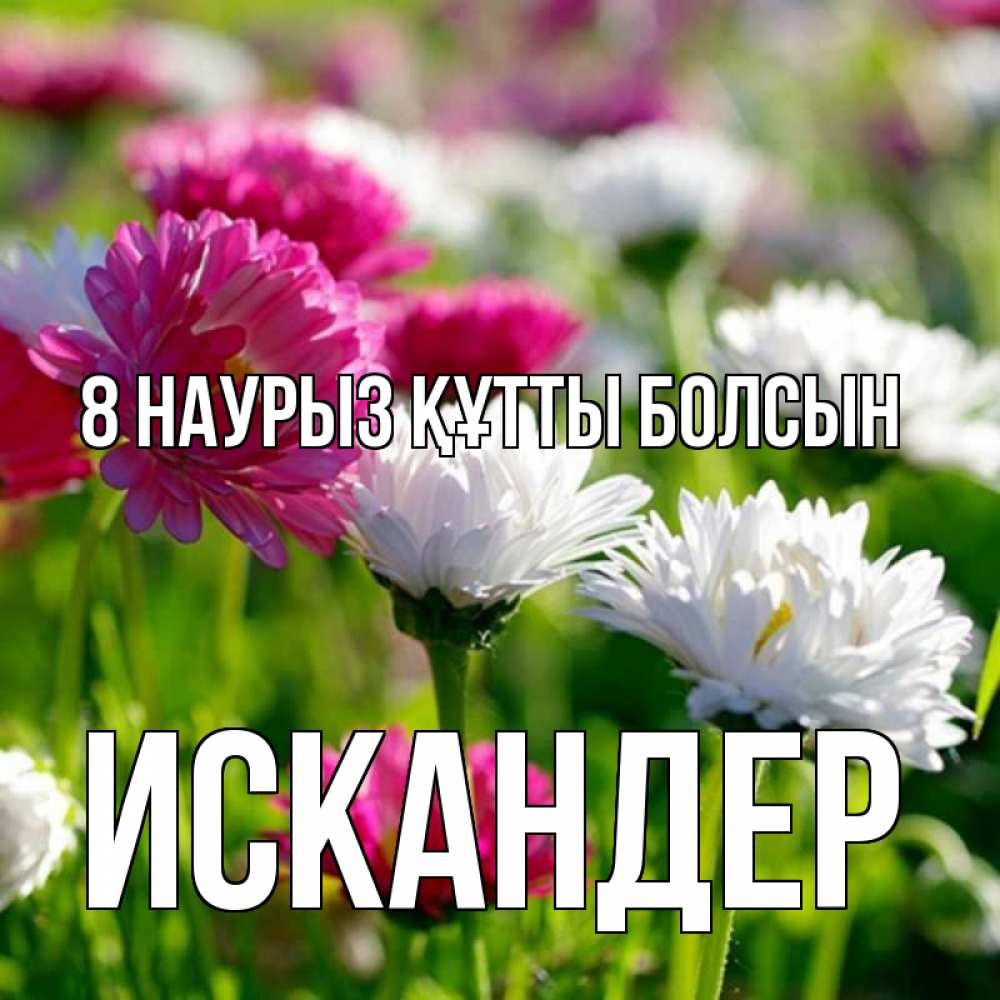 Күн сайын ашық хат с именем, Искандер 8 наурыз құтты болсын международный женский день 1 Онлайн тегін жүктеп алу тілектері бар керемет карта 