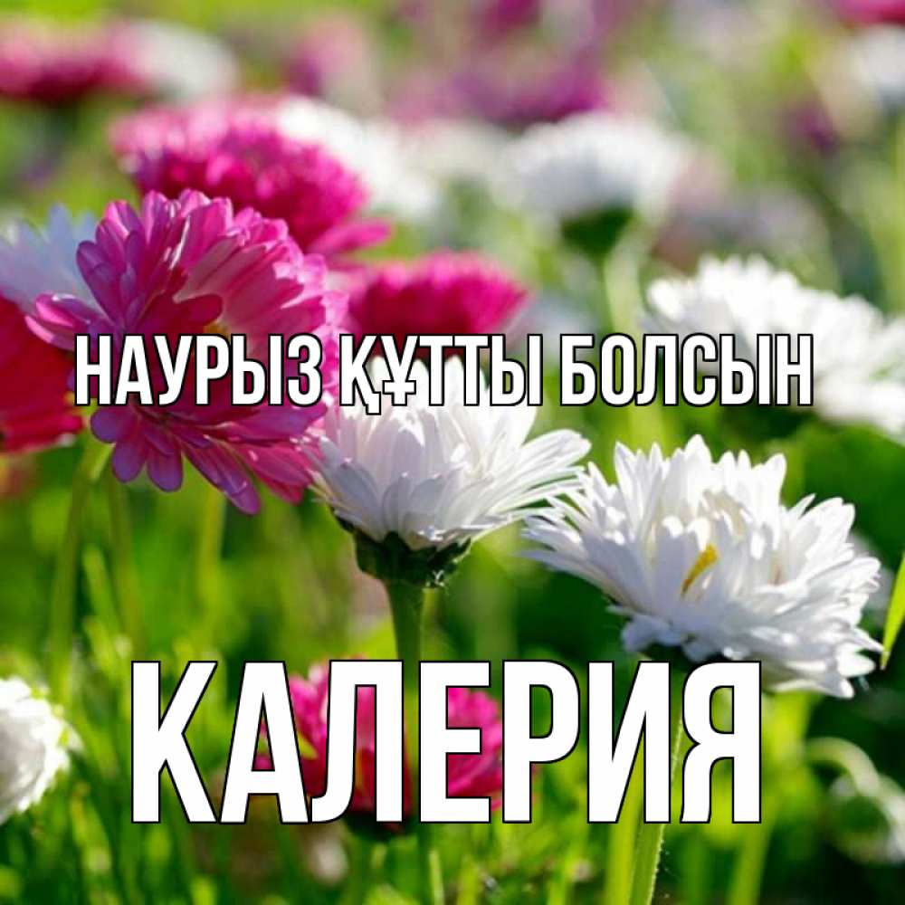 Күн сайын ашық хат с именем, Калерия Наурыз құтты болсын наурыз Онлайн тегін жүктеп алу тілектері бар керемет карта 