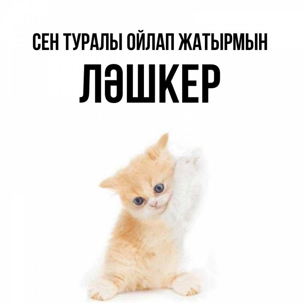 Күн сайын ашық хат с именем, ЛӘШКЕР Сен туралы ойлап жатырмын зверушки и милота Онлайн тегін жүктеп алу тілектері бар керемет карта 