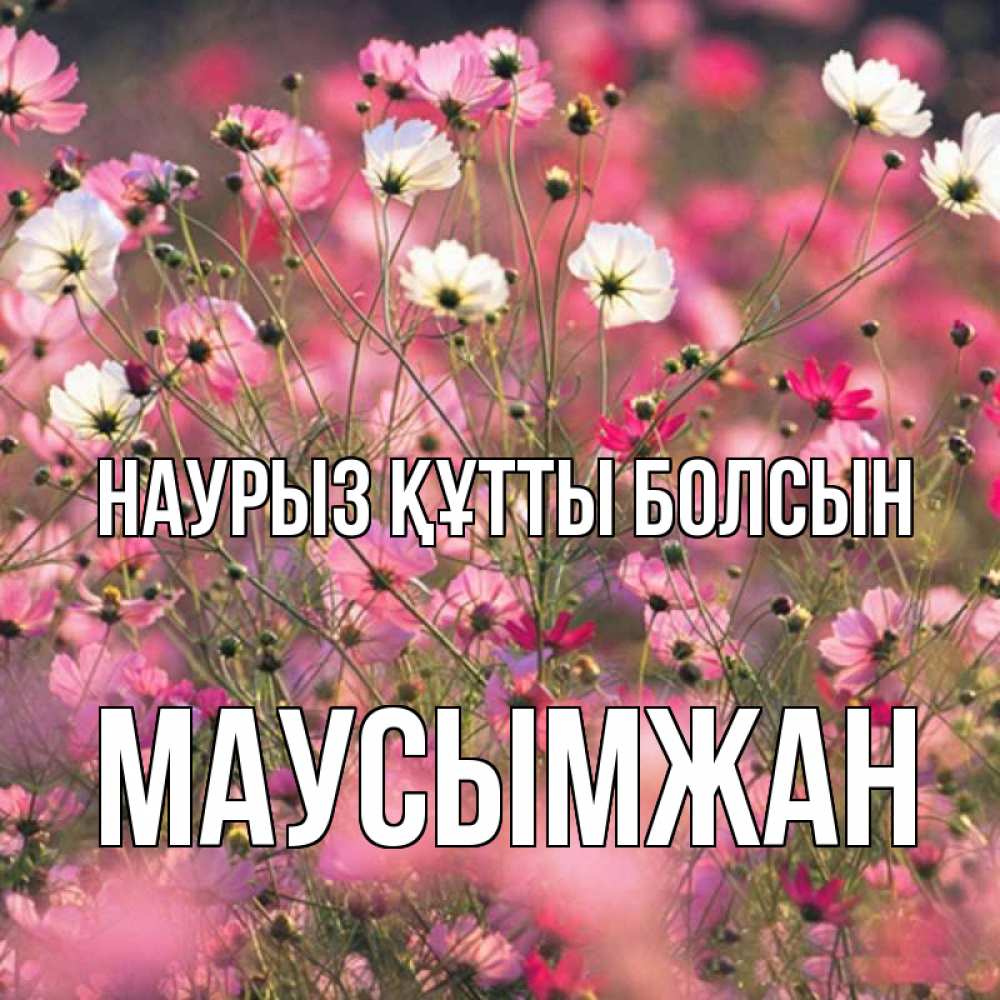 Күн сайын ашық хат с именем, МАУСЫМЖАН Наурыз құтты болсын красиво 1 Онлайн тегін жүктеп алу тілектері бар керемет карта 