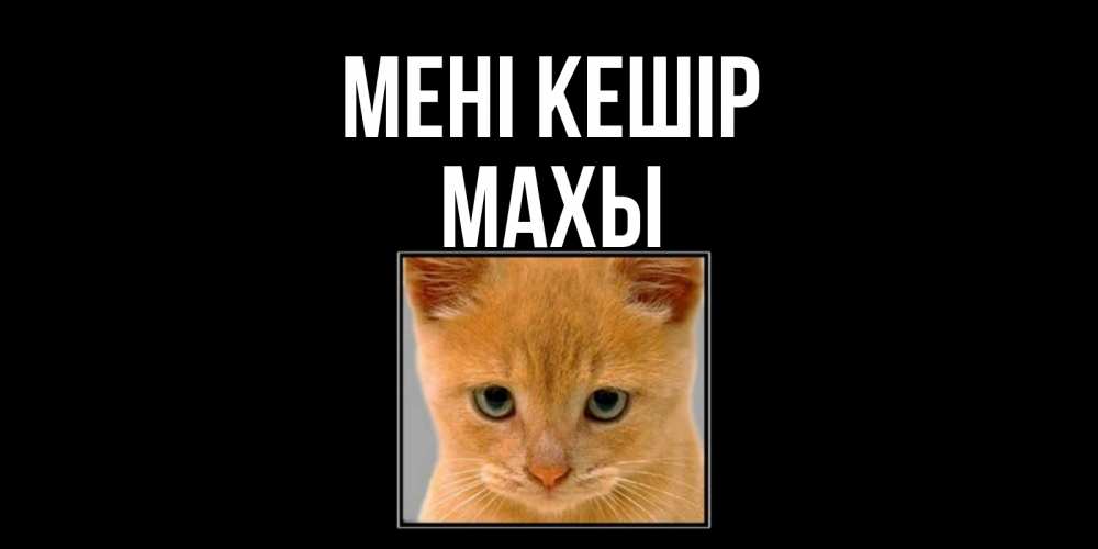 Күн сайын ашық хат с именем, МАХЫ Мені кешір рыжий грустный кот просит прощения Онлайн тегін жүктеп алу тілектері бар керемет карта 