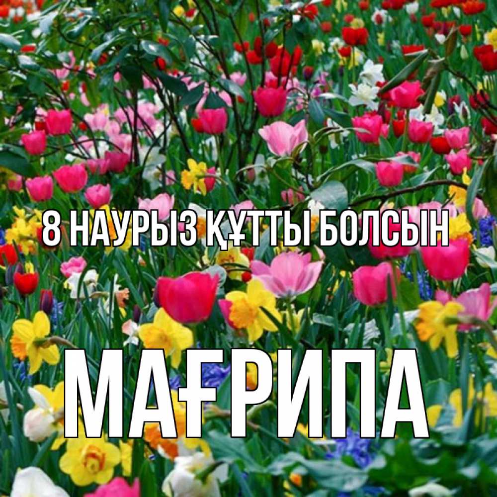 Күн сайын ашық хат с именем, МАҒРИПА 8 наурыз құтты болсын с международным женским днем поздравления для женщины Онлайн тегін жүктеп алу тілектері бар керемет карта 