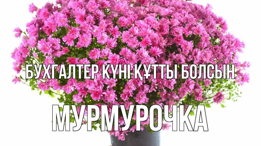 Күн сайын ашық хат с именем, Мурмурочка бухгалтер күні құтты болсын с днем бухгалтера Онлайн тегін жүктеп алу тілектері бар керемет карта 